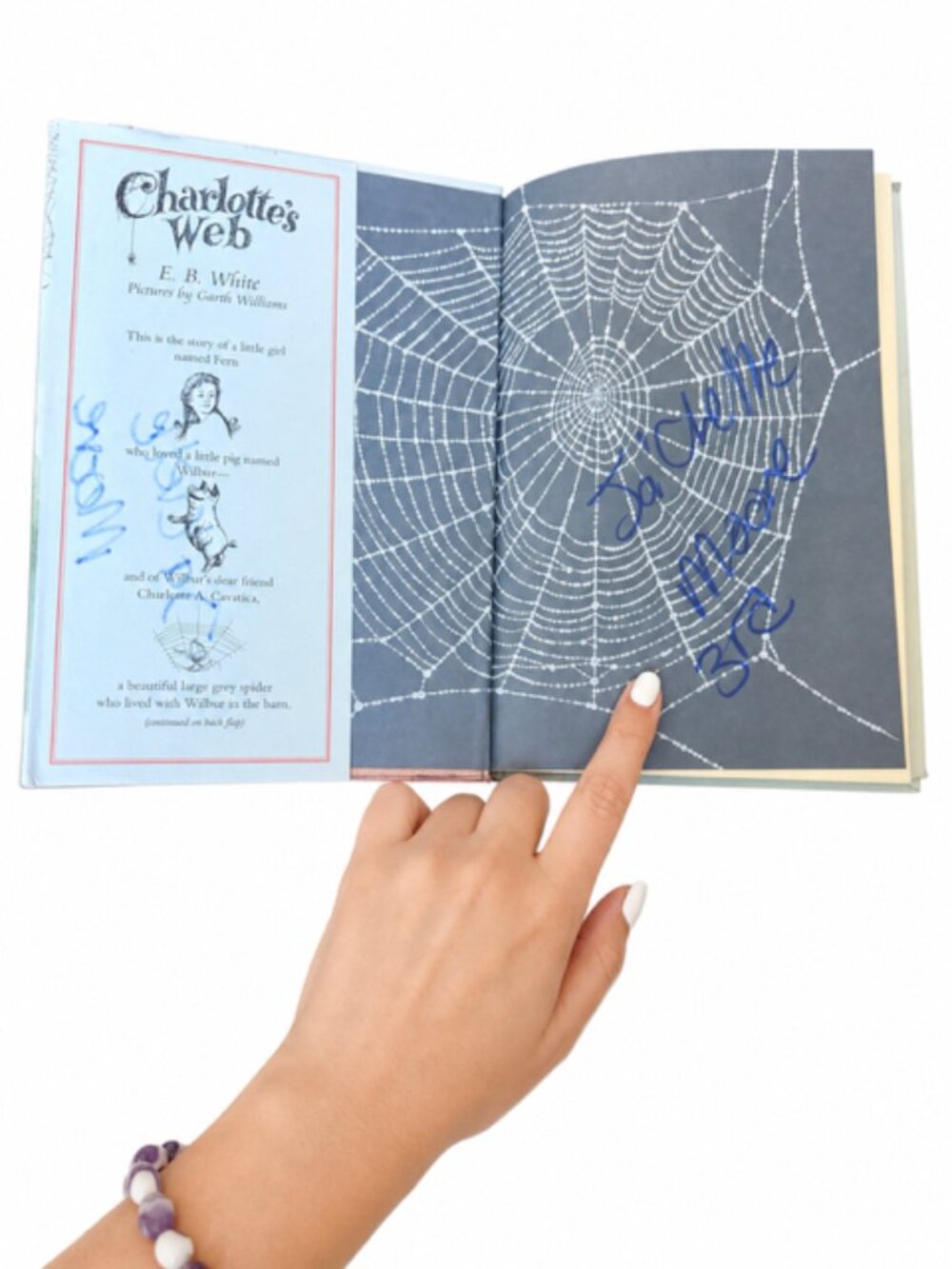 Charlotte's Web - Picture 4 of 6